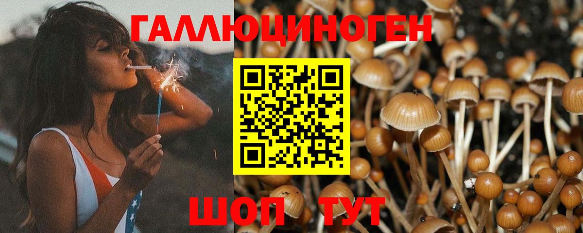 Галлюциногенные грибы Cubensis Калининград