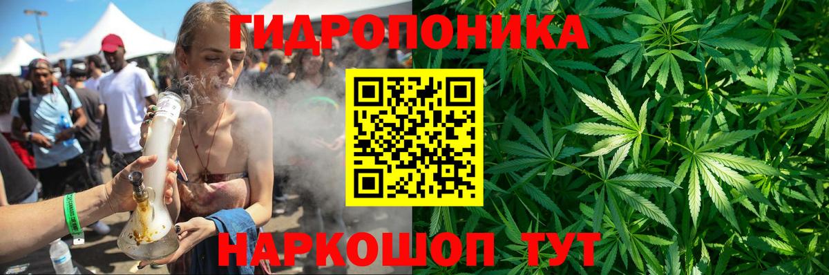 МАРИХУАНА план Калининград