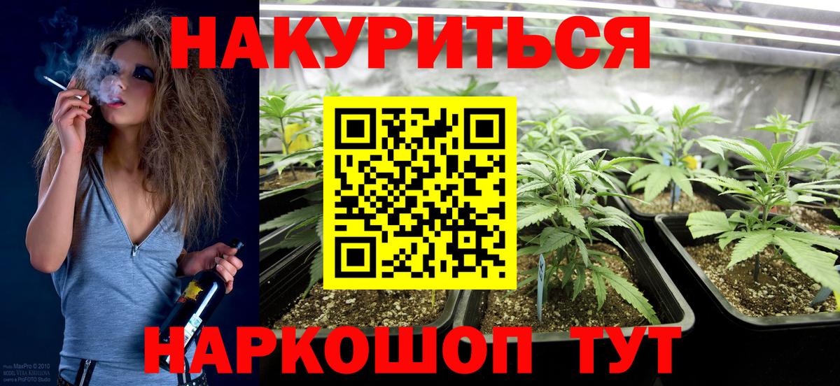 Шишки марихуана SATIVA & INDICA  Бошки Шишки конопля  Калининград  Вход с VPN  Шишки марихуана планчик 